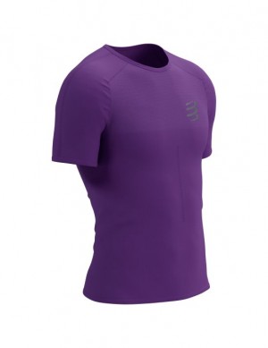 Férfi Compressport Performance SS Tshirt M Futóingek Lila | ZXQBKAU-30